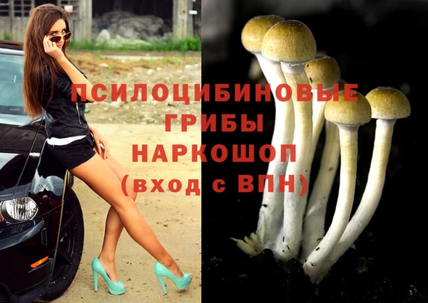 a pvp Балабаново