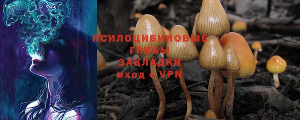 a pvp Балабаново